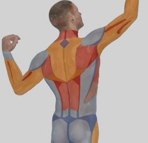 4 DimensionalmHigh Definition Vaser Smart Liposuction at Best Plastic Surgery Egypt, male back